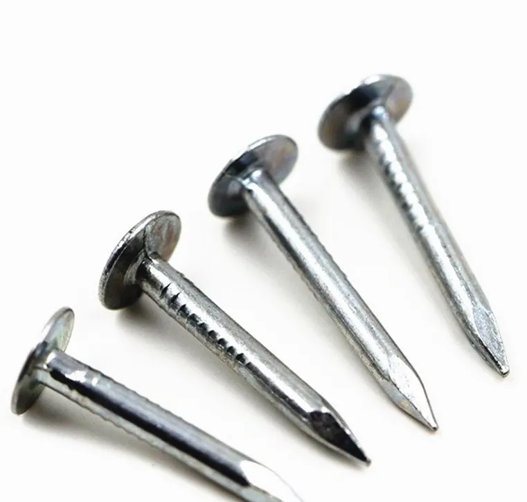 Yellow Zinc Plated Cupper Nails Linoleum Nail Buy Cupper Nail,Zinc