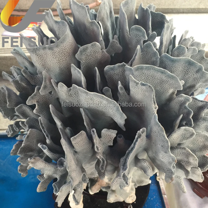 Natural Coral Quartz Crystal Coral For Sale For Decoration Buy Coral