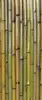 BAMBOO PANEL HALF SPLIT BHS12