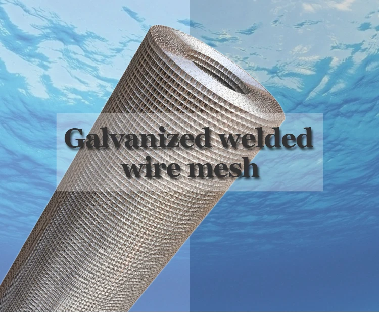 Hot Dipped Galvanized Welded Wire Mesh From Anping