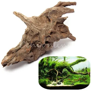 tree root aquarium decoration