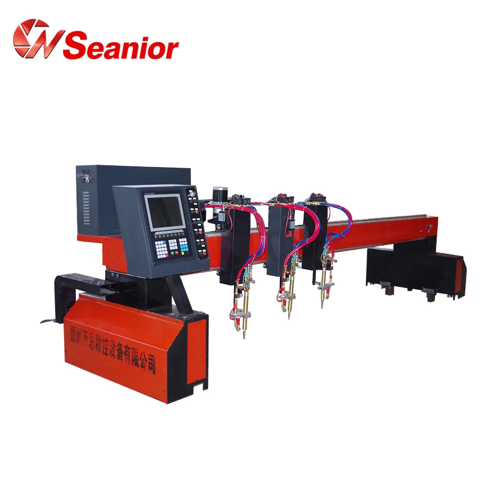 
China Manufacturer Portable Gantry Plasma Oxygen Cutting Machine 