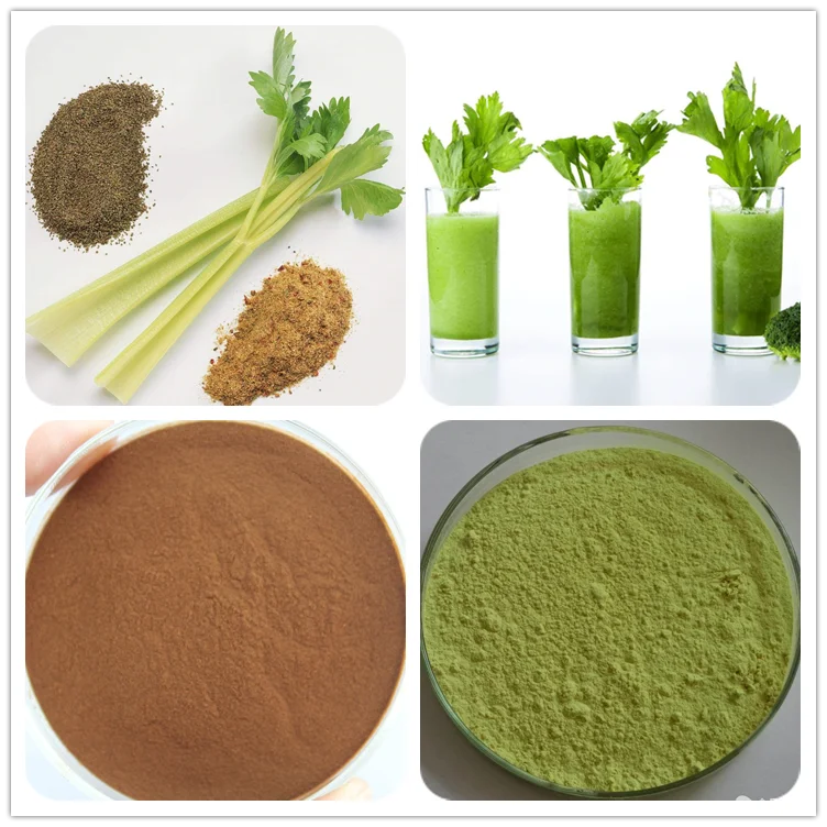 Лук сельдерей. Порошок сельдерея. Экстракт сельдерея. Сельдерей пятерочка. Экстракт сельдерея бад.