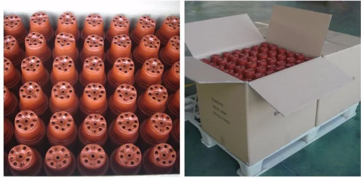 Greenhouse using bicolored small plastic flower nursery pots for seeds