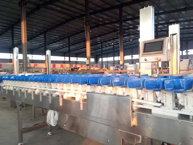 sorting machine 1.jpg
