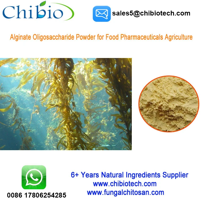 Alginate 003.jpg