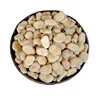 New crop broad beans faba beans in bulk