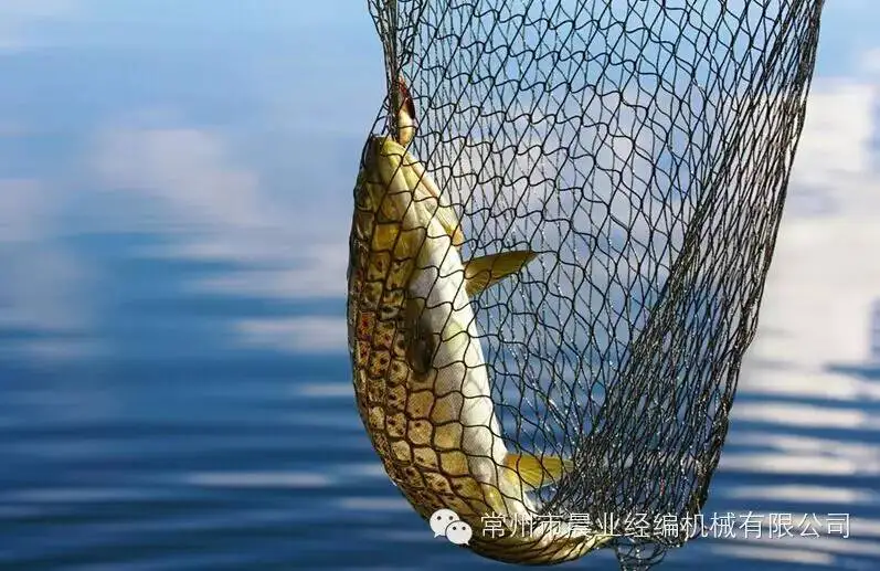 Automatic Fishing Net Making Machine with 24Hours Production Capacity 9KW Power and 1 Year Warranty