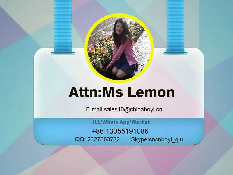 contactor ms lemon