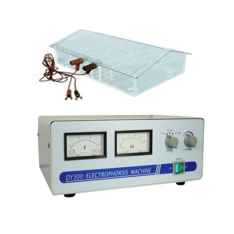 Laboratory Medical Electrophoresis Machine Price with Cell DY-300