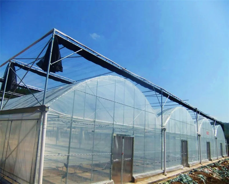 
easy installed Agricultural Plastic film Greenhouse project from China 