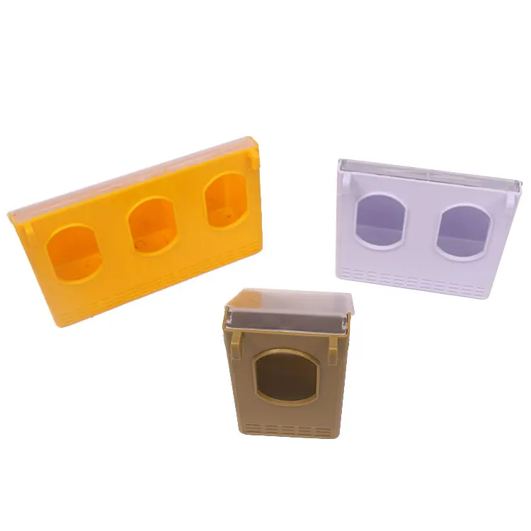 automatic pigeon feeder with timer