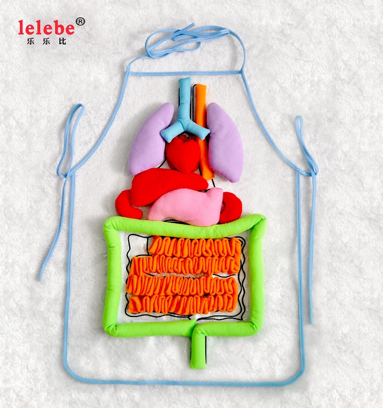 The Body Organ Teaching Aids Apron 2021oem Wholesale Preschool Training