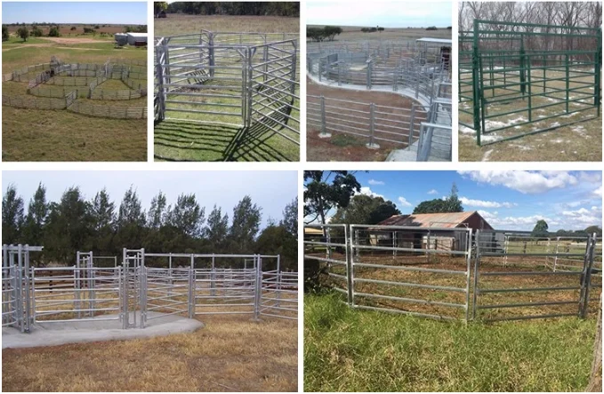 lowes cattle panels