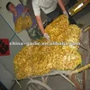 Specification Fresh Ginger / Dried Ginger 2012 New Crop