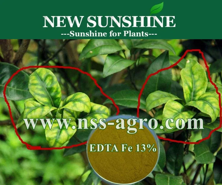 EDTA Fe.jpg