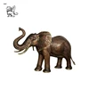 /product-detail/wonderful-brown-indian-bronze-sculpture-elephant-antique-bronze-elephant-sculpture-braz-109-60764976728.html