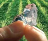 Turfcare water saving product: potassium polyacrylate SAP