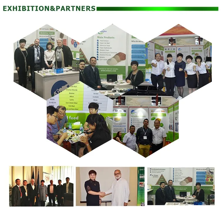 HTB1tzIjm_TI8KJjSsphq6AFppXaQ