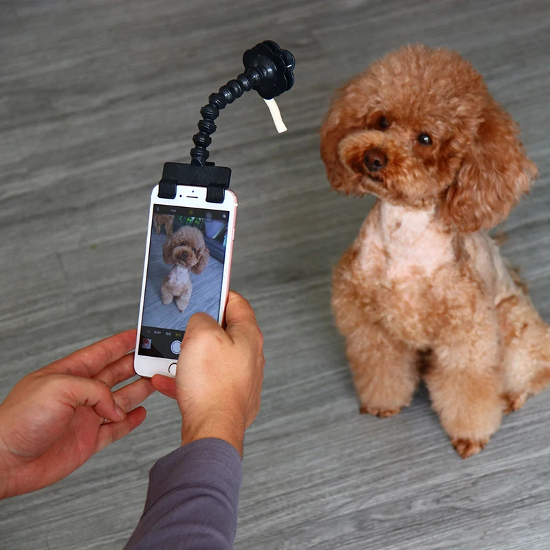

Pet Selfie Stick for Pets Dog Cat fit iPhone Samsung and Most Smartphone Tablet Black/WhitePet toy Drop Shipping, Black or white