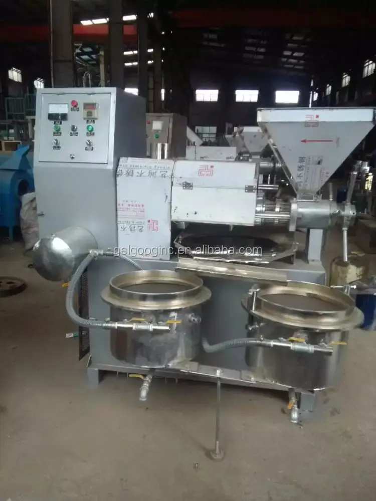 Stainless Steel Avocado Camellia Olive Palm Seed Almond Cold Press Sesame Oil Extraction Virgin Coconut Oil Extracting Machine
