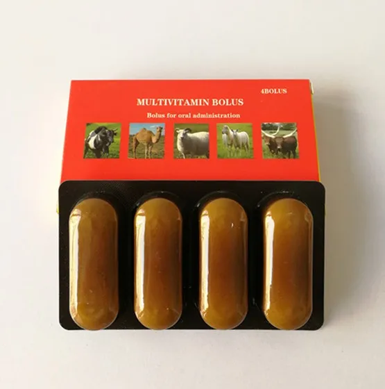 
Dogs supplement multivitamin and minerals in bottle 