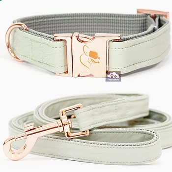 pet collar buckles