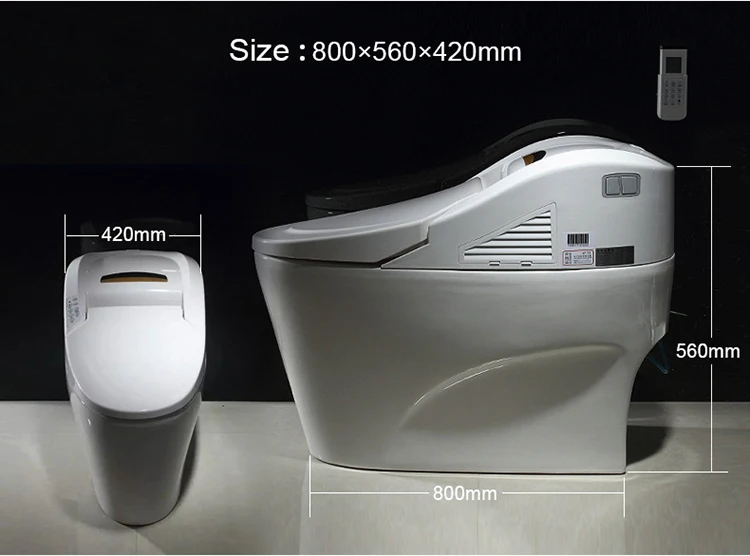 modern style automatic intelligent pregnant woman toilet