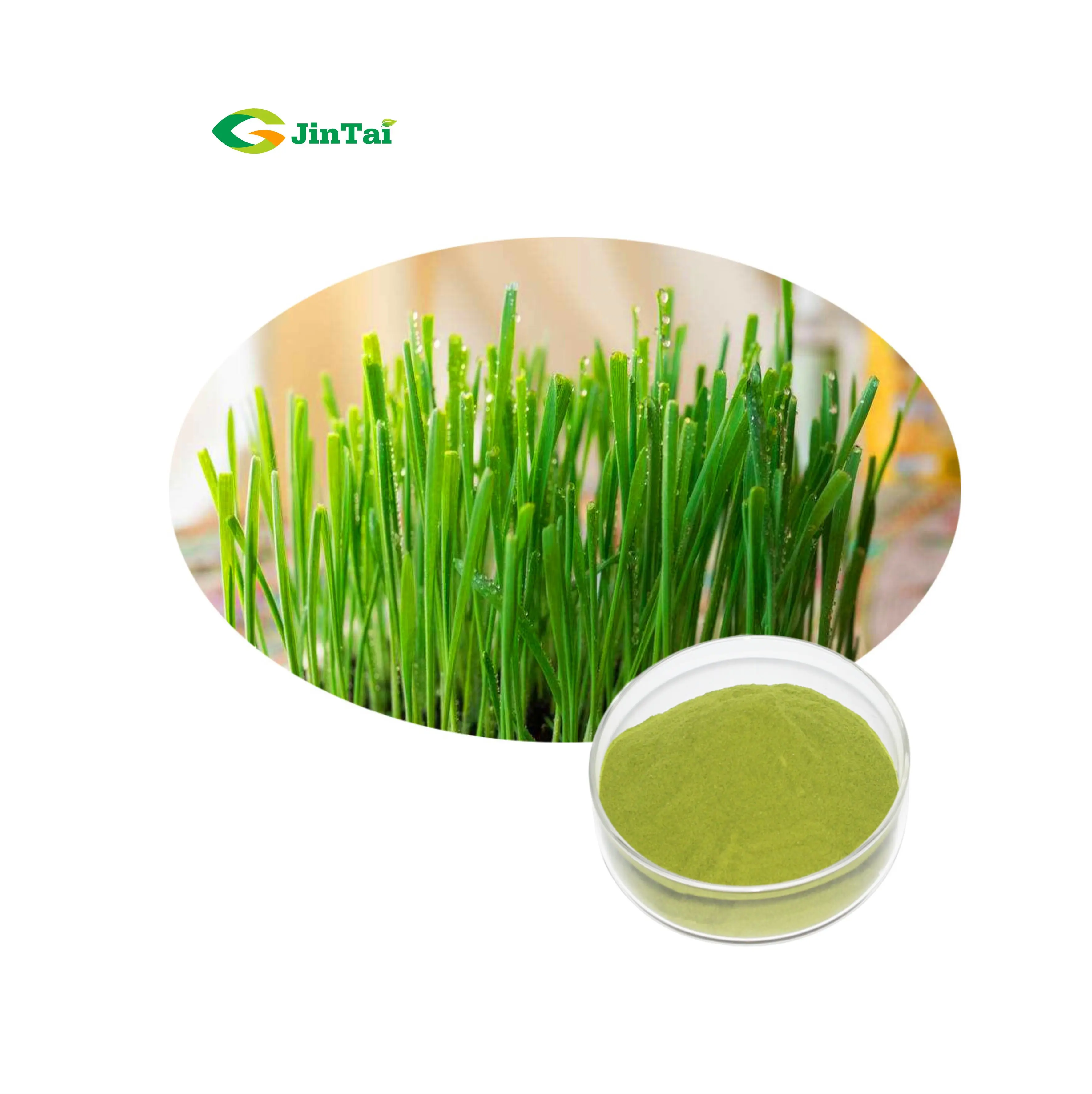 analysis specification results assay 10:1 complies extraction