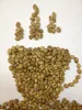 Robusta Green Coffee Beans