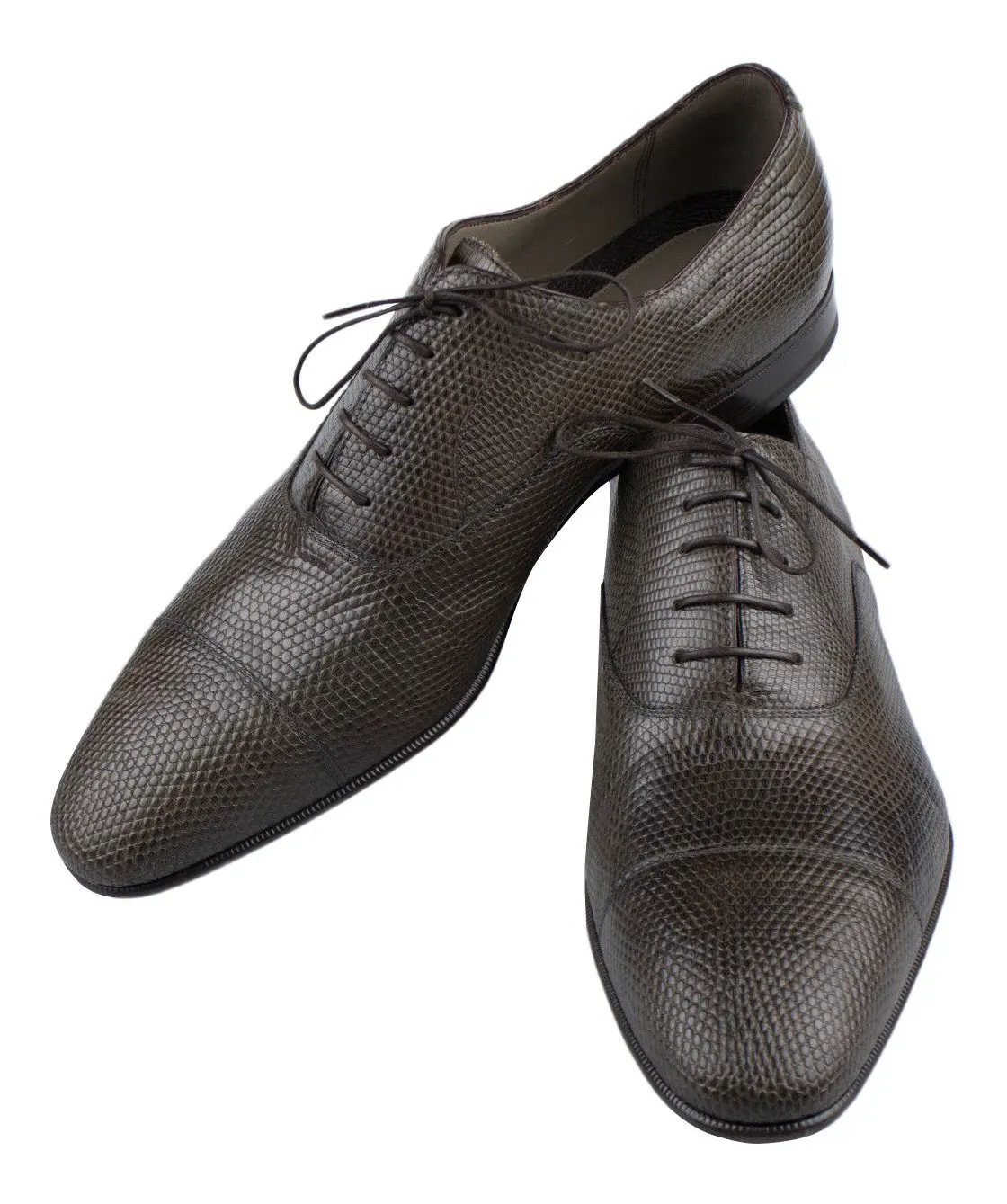 lizard shoes price