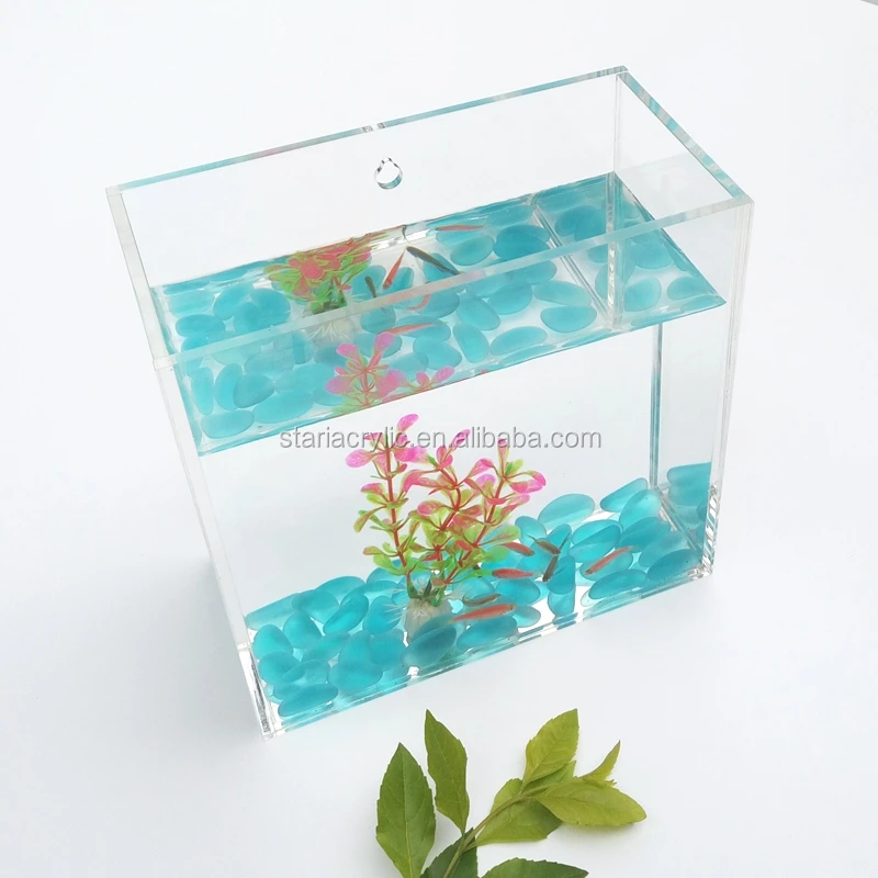Wall Hanging Mini Acrylic Fish Tank Small Clear Perspex Fish Aquarium Buy Acrylic Fish Tank