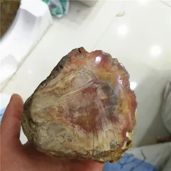 Venta Al Por Mayor De Madera Natural Fosiles De Madera Aspera Fosiles Petrificados Pieza De Madera Rebanada De Muestra Para La Decoracion De La Casa Buy Piedra Fosil De Madera Petrificada Fosil