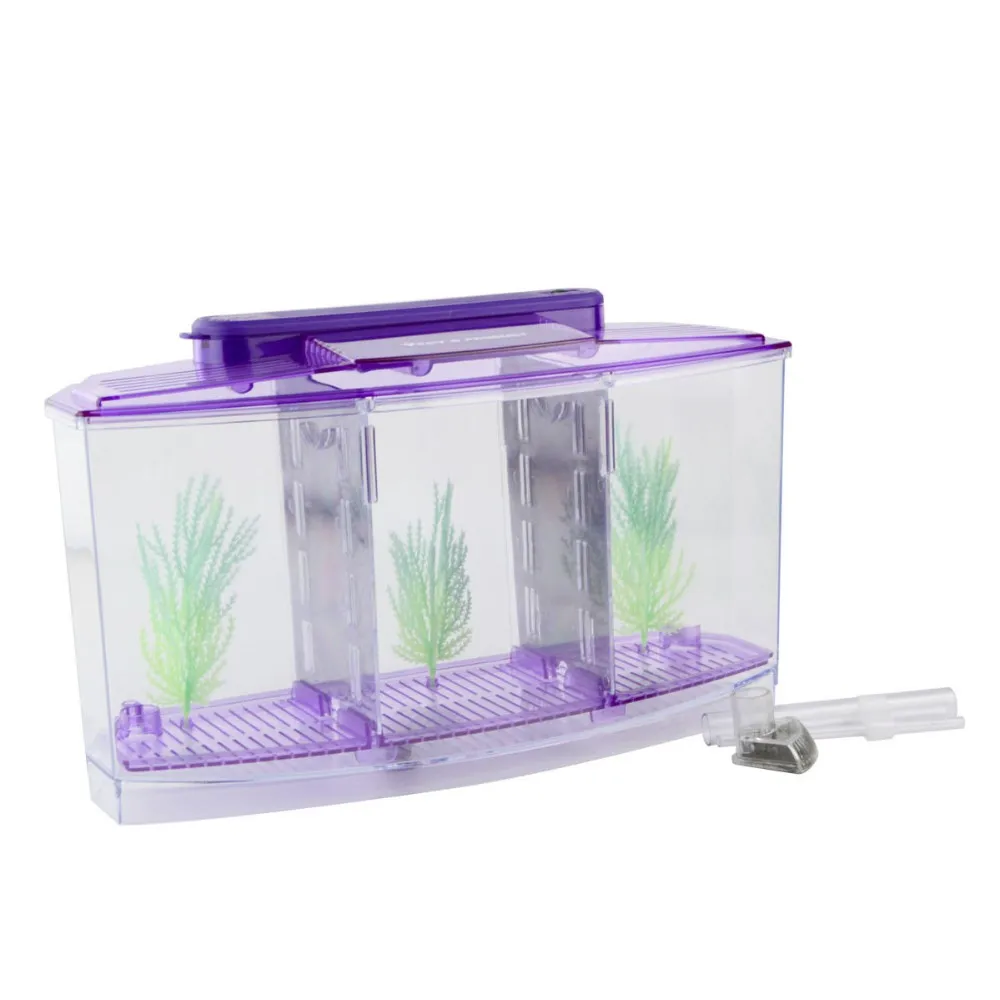 desktop aquarium toy