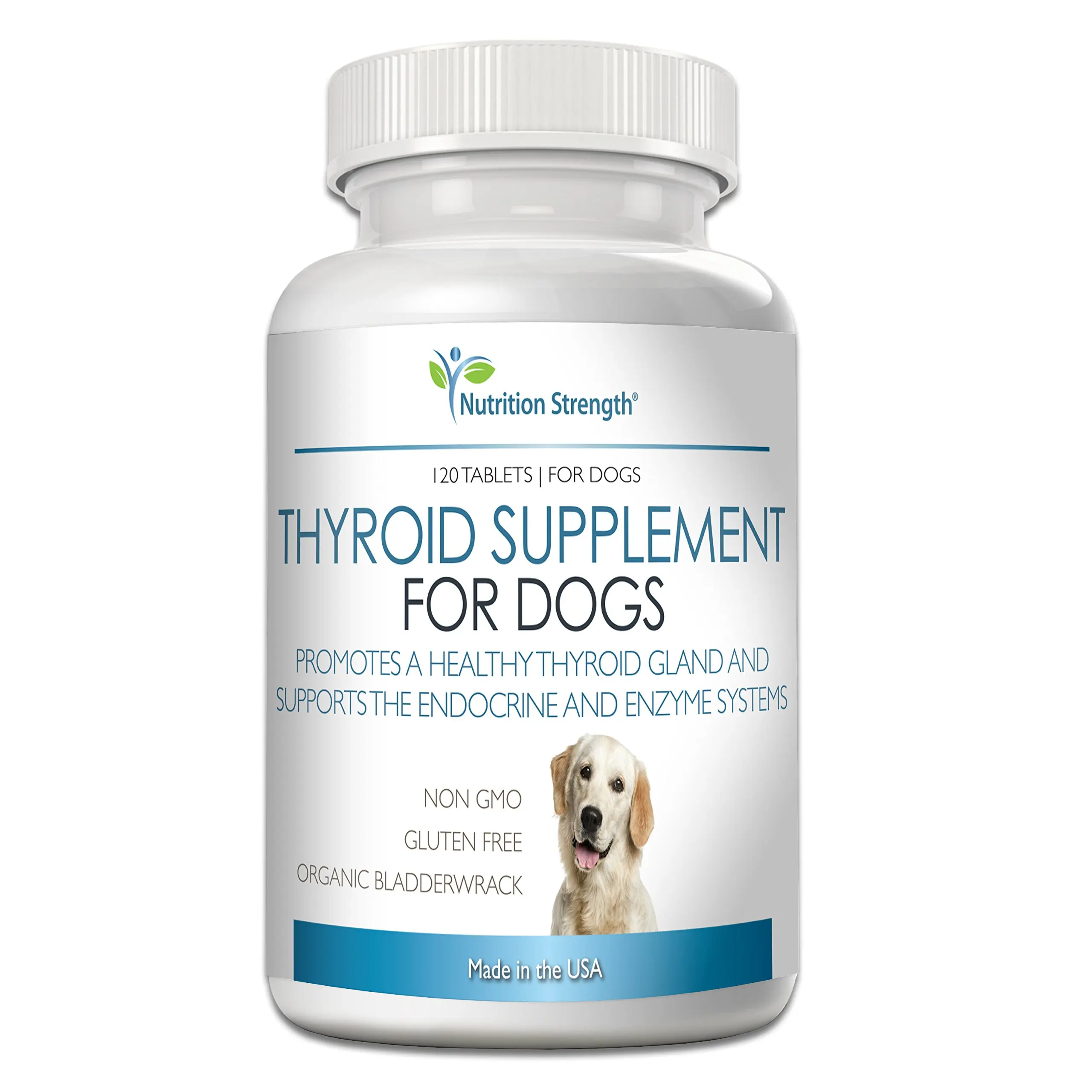 chlorophyll tablets for dogs