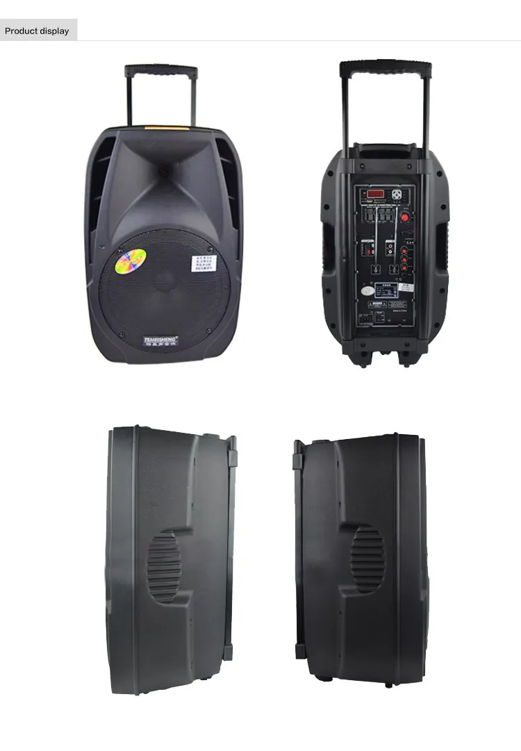 Temeisheng Ev 12 Inch Battery Powered Speakers /full Range Active Home