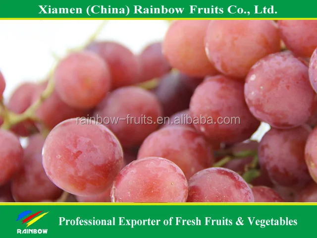 
Fresh fruit of Yunnan Red Globe Grape with good taste grapes peru Seedless grapes 