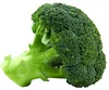 broccoli seed extract, broccoli sprout extract, broccoli p e