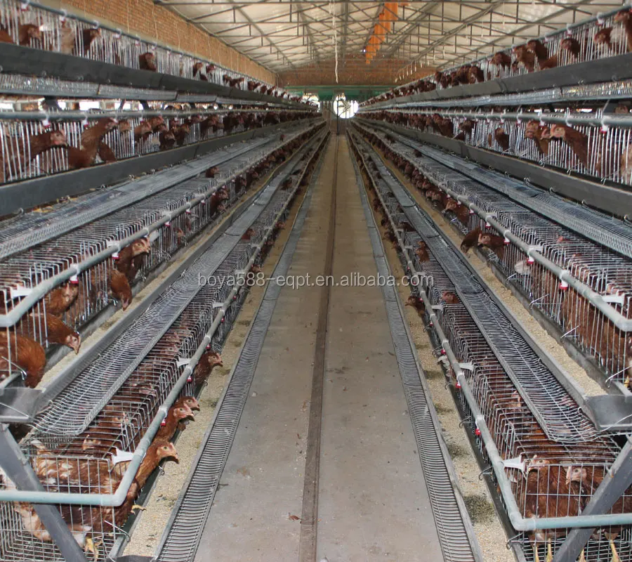 Chicken Cages For Sale Images In Pretoria