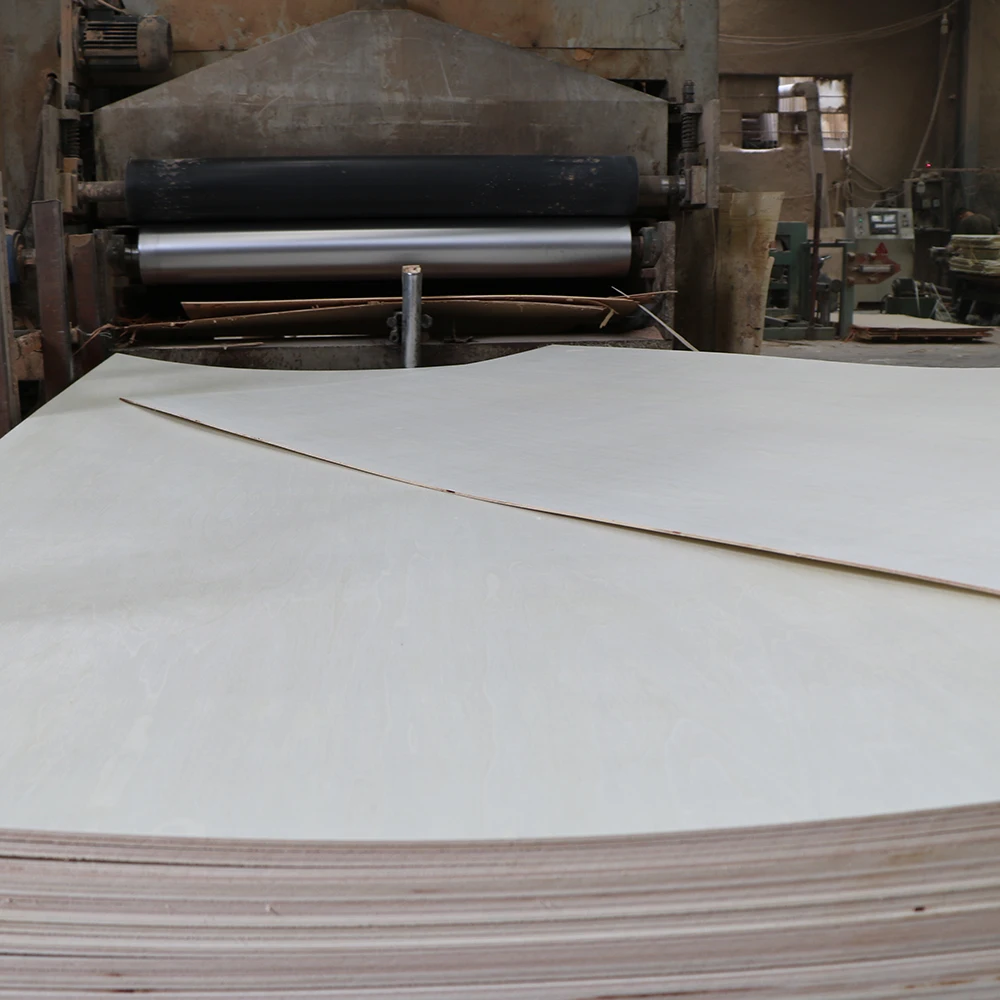 POPLAR GTCO (12).JPG