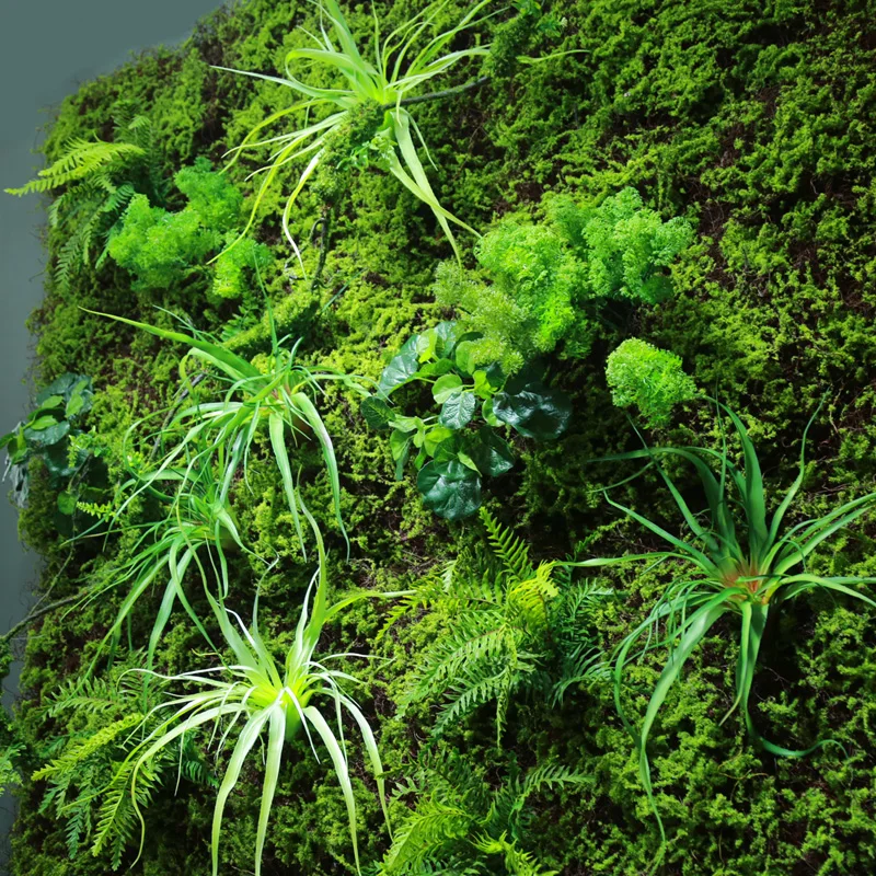 
Hot Selling Customized Free Style Fake Green Plant Wall Artificial Moss Wall Panel with Single Plants for Indoor Decoration 