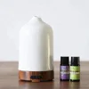 /product-detail/white-simple-aroma-essential-oil-diffuser-ceramic-ultrasonic-aromatherapy-air-humidifier-with-cold-mist-fan-100ml-60775490190.html