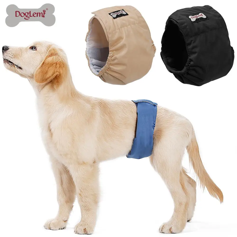 

Pet Dog Accessories New Dog Pant Dog Supplies Pants