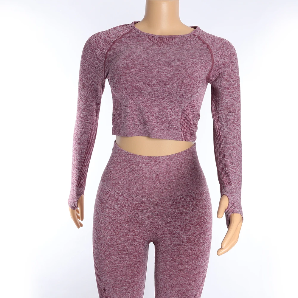 

2019 Fashion Design Seamless Long Sleeve Crop Top Quick Dry Fit Fitness Women Yoga Leggings Set