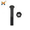 Rail fish bolt and nuts with two spring washers