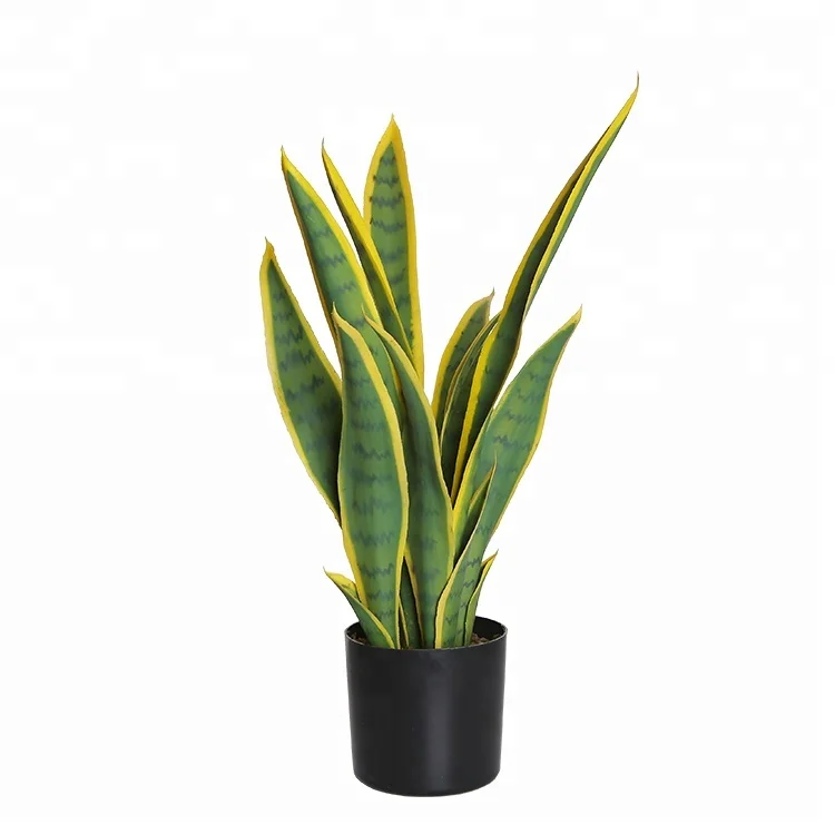 56cm Small Size Yellow Edge Plastic Artificial Snake Plant For Room