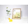 Manufacturers produce customized wall photo frame