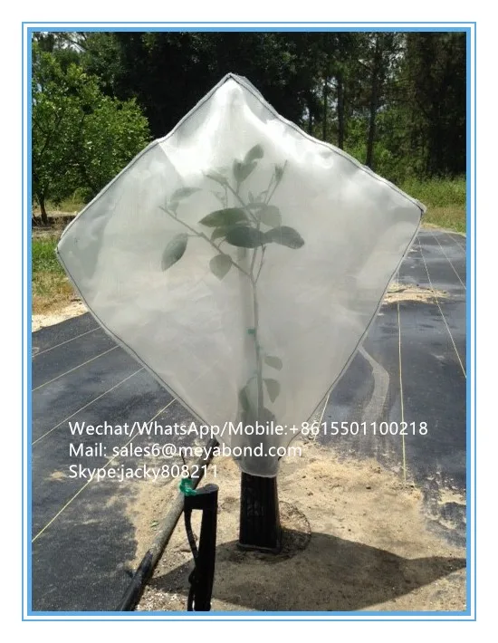 Anti Insect Netting /nursery Fruit Tree Net/citrus Tree Net Cover Buy