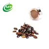 100% Pure Natural Cocoa Powder Theobroma Cacao Extract