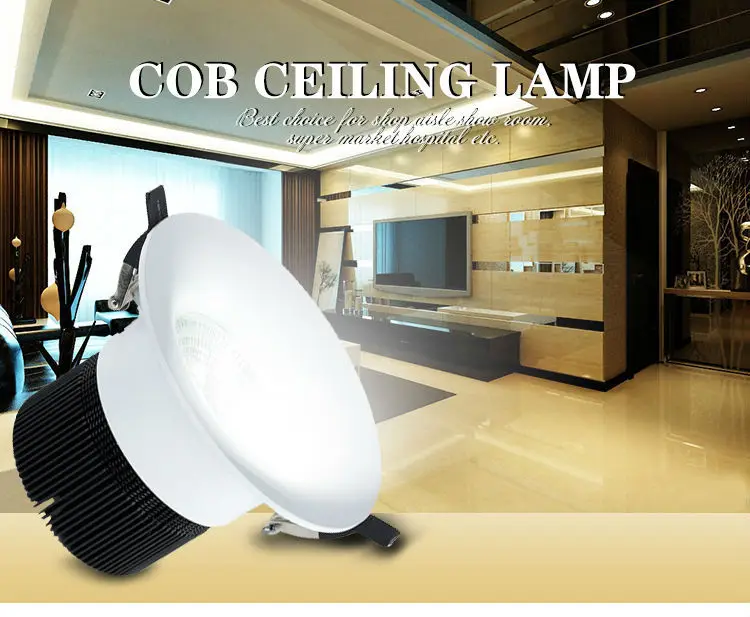 Chrome new style led ceiling lighting innovative products for import